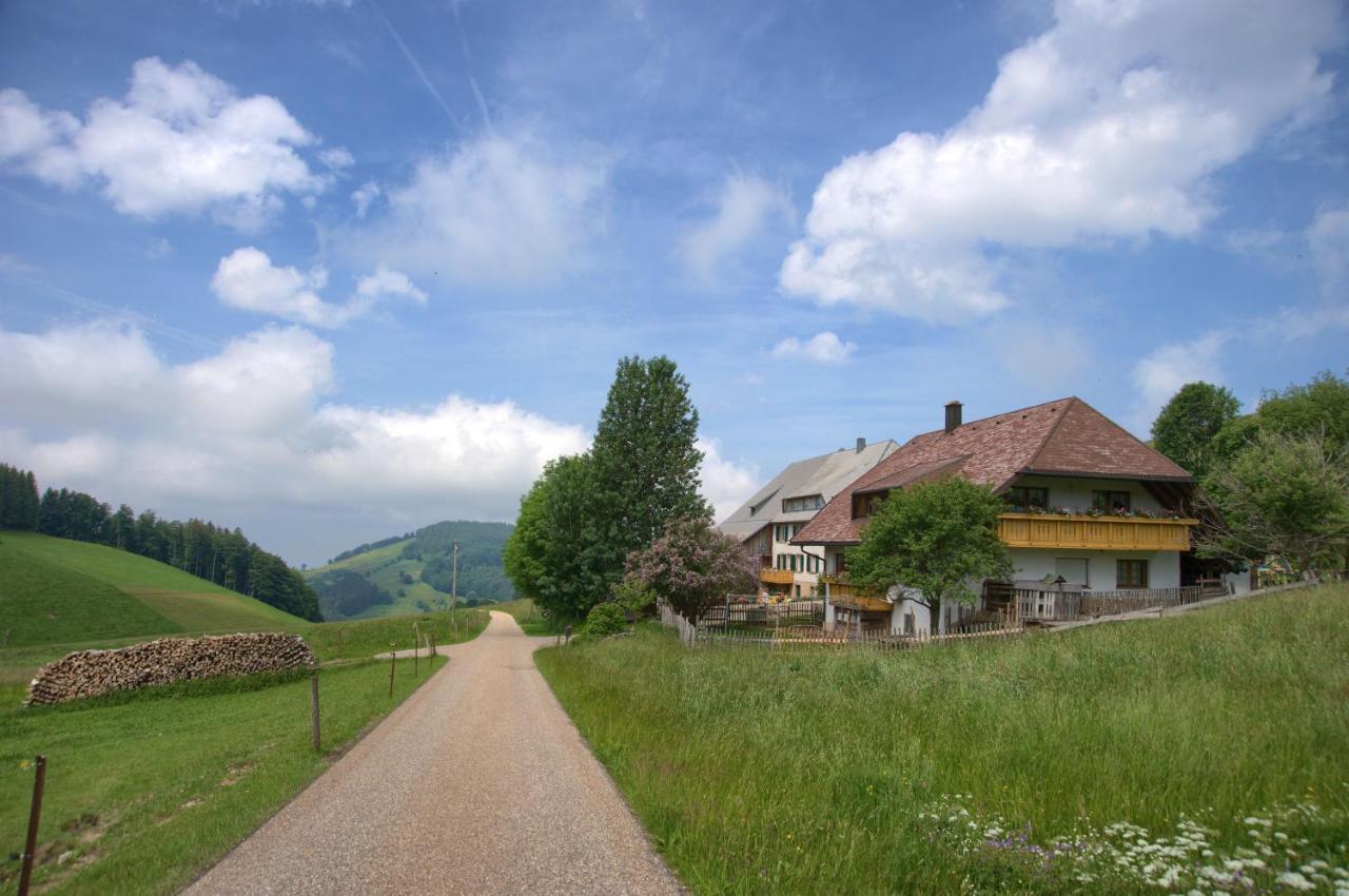 Ferienwohnung Mittlerer Itzenwaldhof - Heimkehr Münstertal Exterior foto